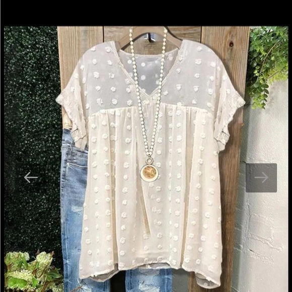 TLULY Polka Dot Sheer V-Neck Empire Waist Top - Picture 7 of 8